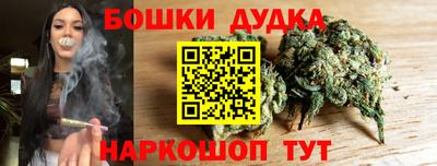гидра Краснокаменск