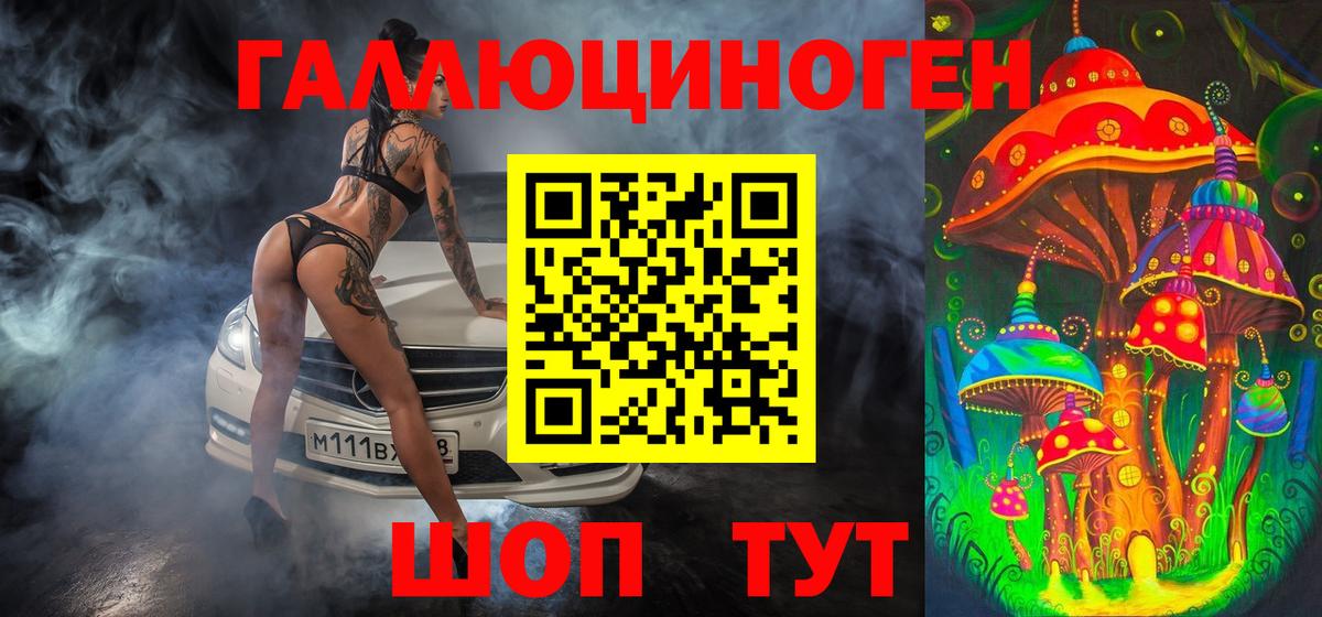Галлюциногенные грибы Psilocybine cubensis Зеленокумск