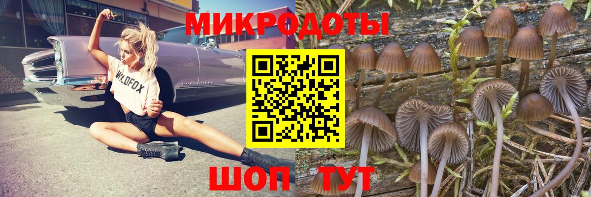 Галлюциногенные грибы Psilocybine cubensis  Псилоцибиновые грибы Magic Shrooms  Зеленокумск  Вход с VPN 